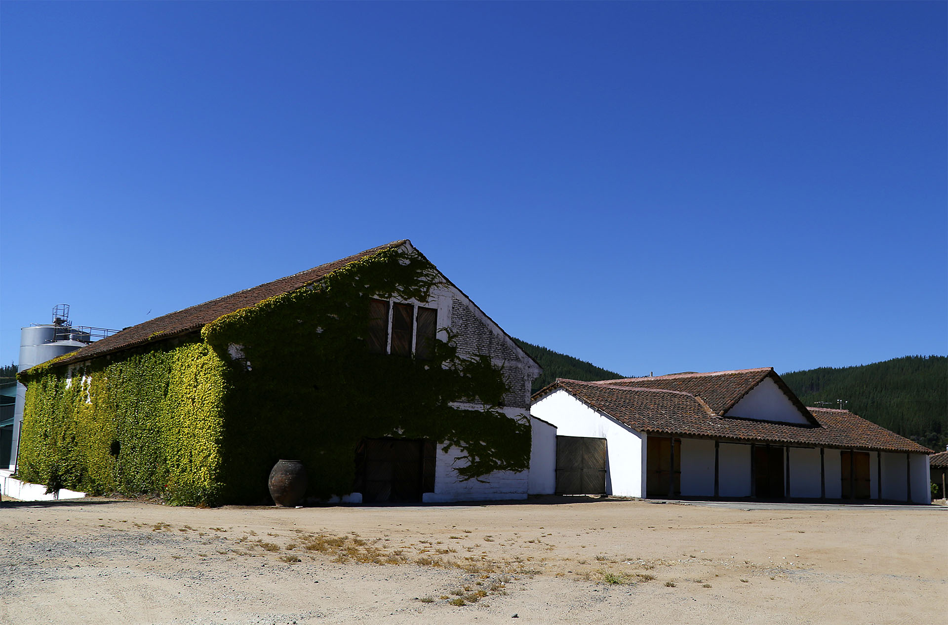 Casona de Viña Bouchon
